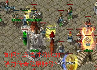 �����ѡ���Լ۱ȵ�ǿ������˽���˺ţ�