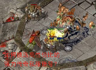 �����ѡ���Լ۱ȵ�ǿ������˽���˺ţ�