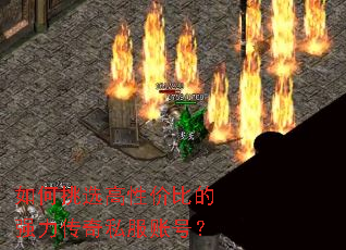 �����ѡ���Լ۱ȵ�ǿ������˽���˺ţ�