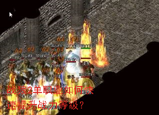 ս��2��ְҵ��ο�������ս���ȼ���