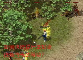 ��ο���������ְҵ���ɴ���ĵȼ���