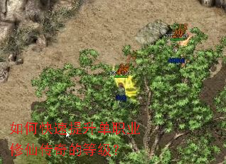 ��ο���������ְҵ���ɴ���ĵȼ���