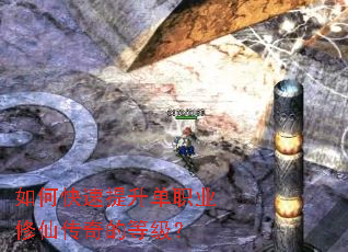 ��ο���������ְҵ���ɴ���ĵȼ���