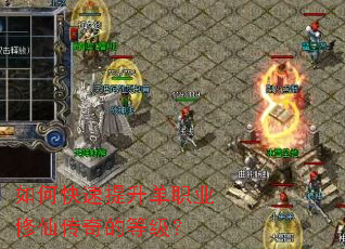 ��ο���������ְҵ���ɴ���ĵȼ���