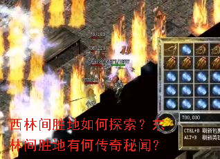 ���ּ�ʤ�����̽�������ּ�ʤ���кδ������ţ�