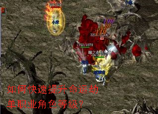 ��ο����������˽ٵ�ְҵ��ɫ�ȼ���