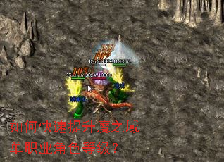 ��ο�������ħ֮��ְҵ��ɫ�ȼ���