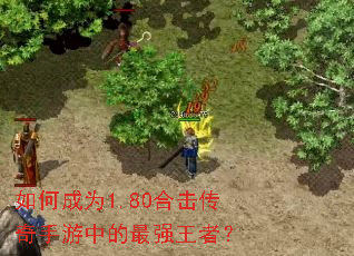 ��γ�Ϊ1.80�ϻ����������е���ǿ���ߣ�