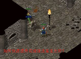 ��ο���������籹ڷ��������ף�