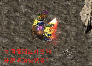 ���������Ҷ�ȵز���ȡ����װ����