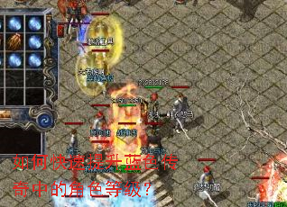 ��ο���������ɫ�����еĽ�ɫ�ȼ���