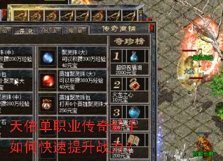 ���ӵ�ְҵ����������ο�������ս����