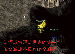 ��γ�Ϊ�귨����İ�����������Ϸ�ռ�����ȫ����