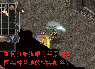 �������ʨ�������ڰ�����ɭ��Ӫ�ص�����Ͽ�ȣ�