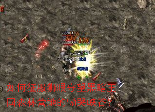 �������ʨ�������ڰ�����ɭ��Ӫ�ص�����Ͽ�ȣ�