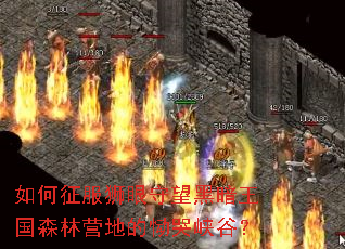 �������ʨ�������ڰ�����ɭ��Ӫ�ص�����Ͽ�ȣ�