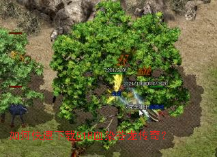 ��ο�������518ѪȾ�������棿