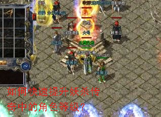 ��ο���������ɱ�����еĽ�ɫ�ȼ���