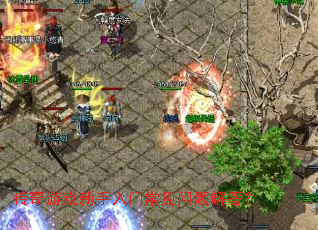 ������Ϸ�������ų���������