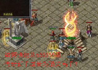 ��ο��ٴ�655555���������ֳɳ�Ϊ������֣�