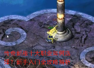 �����·�ʮ��ְҵ���ѡ����������ȫ���Խ���