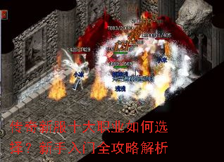 �����·�ʮ��ְҵ���ѡ����������ȫ���Խ���