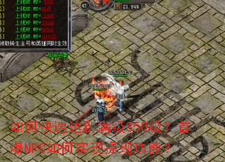 ��ο��ٴﵽ����850�����ױ�NPC���ʵ�����ֹ��ܣ�