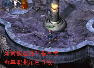 ��ο����������´��浥ְҵ��ɫ�ȼ���