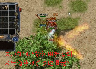 ��ʦ����������������һ�������ɱ��������