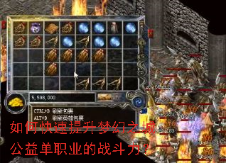 ��ο��������λ�֮�ǹ��浥ְҵ��ս������