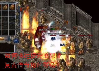 ��ο���������ְҵ���Ŵ����ɫ�ȼ���