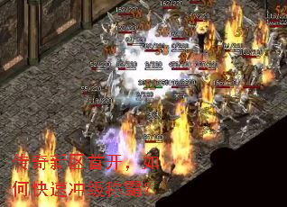 ���������׿�����ο��ٳ弶�ưԣ�