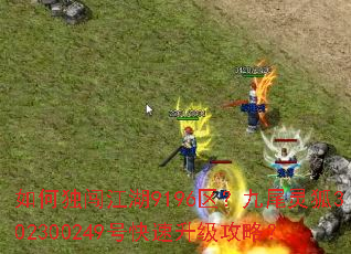 ��ζ�������9196������β���302300249�ſ����������ԣ�