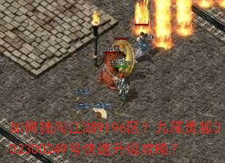 ��ζ�������9196������β���302300249�ſ����������ԣ�