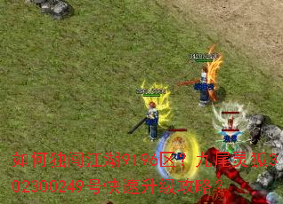 ��ζ�������9196������β���302300249�ſ����������ԣ�