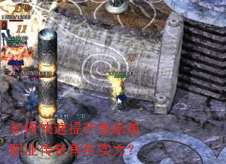 ��ο�������΢�˵�ְҵ�����ɫʵ����