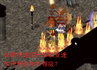 ��ο���������ְҵ��ʧ����Ľ�ɫ�ȼ���