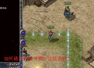 ���ͨ�����贫��SFʵ��ӯ����