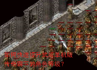 ��ο����������������洫����µĽ�ɫ�ȼ���