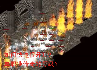 ��ο�������1.9��ְҵ����ĵȼ���