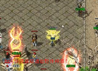 ��ο��ٻ�ȡ��ʼҰ��������