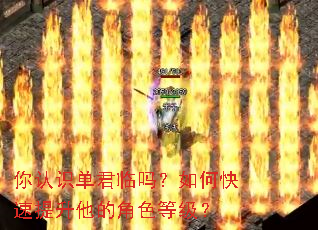 ����ʶ����������ο����������Ľ�ɫ�ȼ���