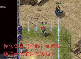 ����ʶ����������ο����������Ľ�ɫ�ȼ���