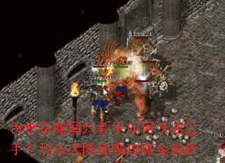 ����˽���ع�������ο������֣��귨��½�ưԹ���ȫ����