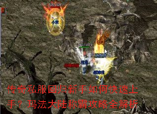 ����˽���ع�������ο������֣��귨��½�ưԹ���ȫ����