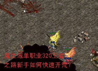 ħ֮��ְҵ320����֮·������ο��ٿ��ģ�