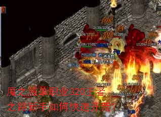 ħ֮��ְҵ320����֮·������ο��ٿ��ģ�