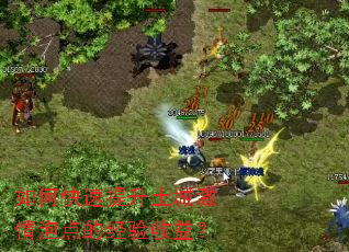 ��ο����������Ǽ����ݵ�ľ������棿