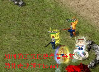 ���ͨ����ֵ�����ɱ��������������boss��