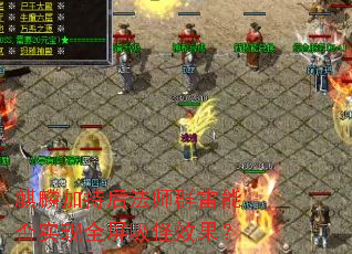 ����ӳֺ�ʦȺ���ܷ�ʵ��ȫ������Ч����